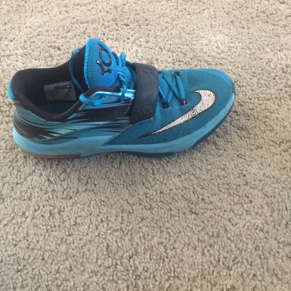 Kd 7 Clearwater